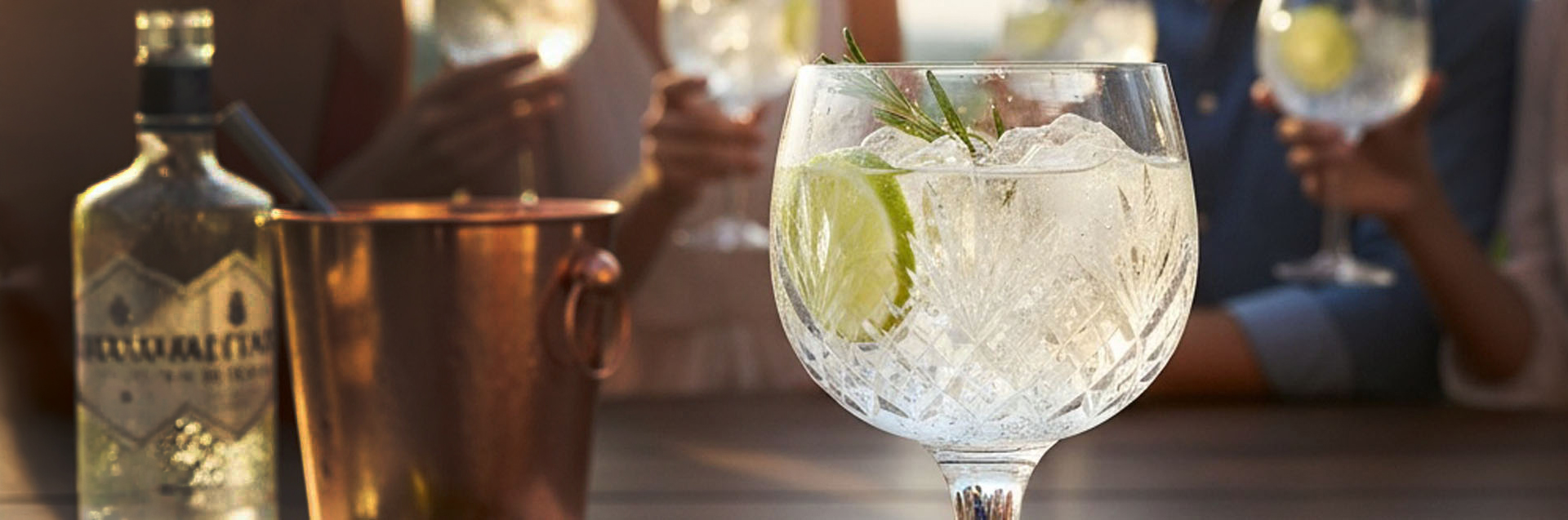 DISCOVER HIGH-QUALITY CRYSTAL GIN GLASSES. IDEAL FOR GIN LOVERS, PARTIES, AND STYLISH ENTERTAINING.