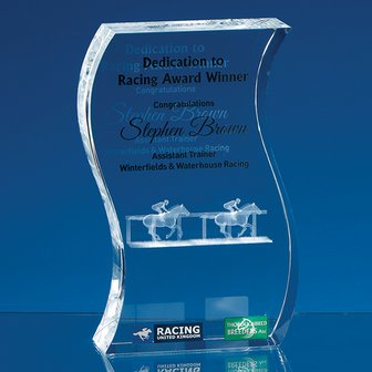 20cm Optical Crystal Freestanding Wave Award