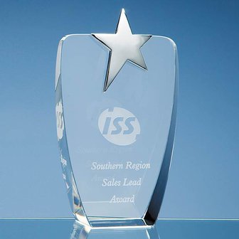 19.5cm Optical Crystal Oval Award with Silver Star