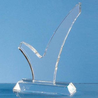 18cm Optical Crystal Tick Award